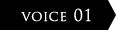 VOICE 1