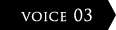 VOICE 3